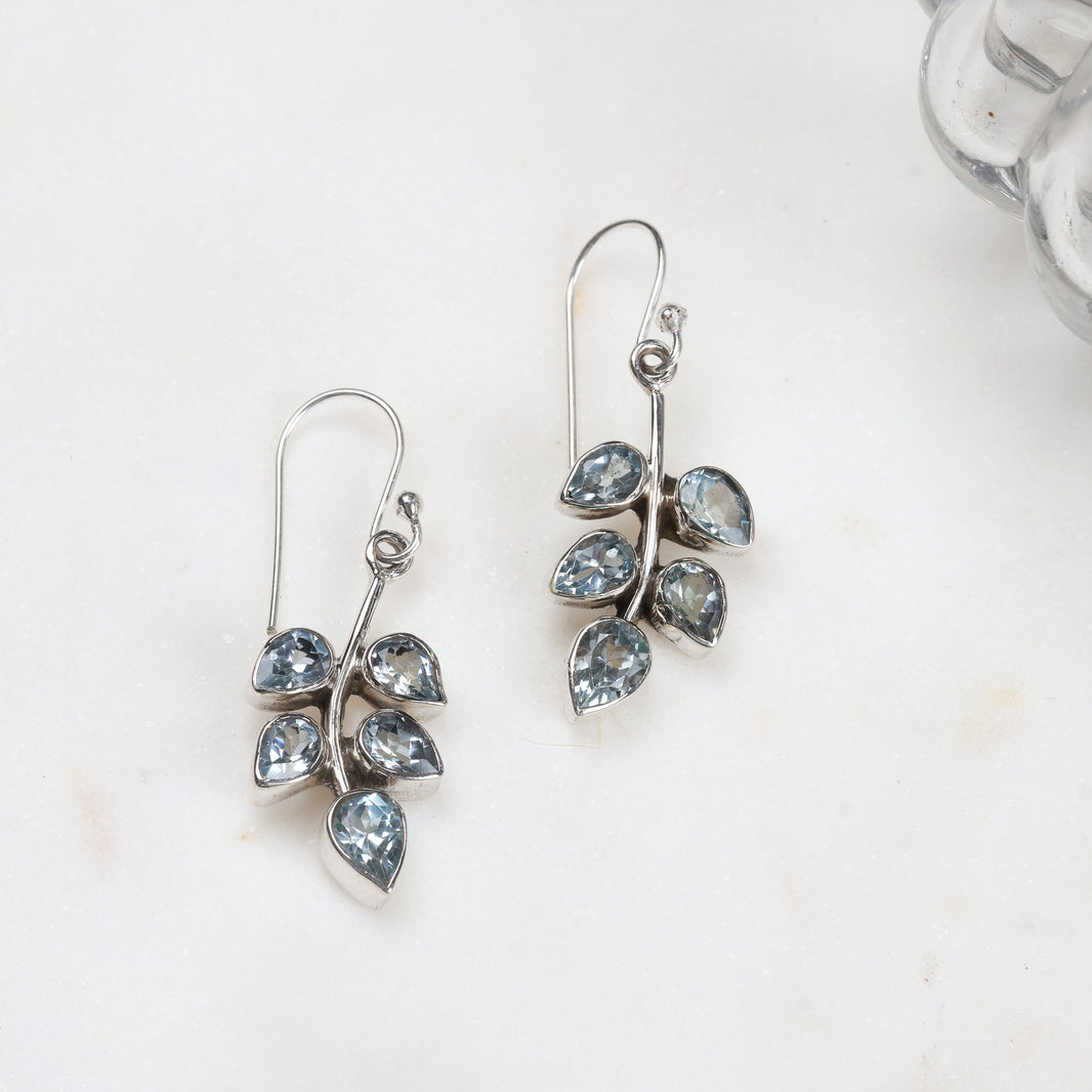 Neer Hook Earrings